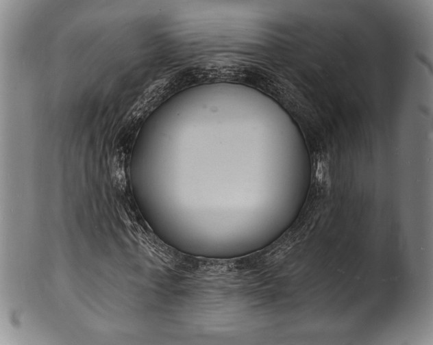 X0000102220771200808081316