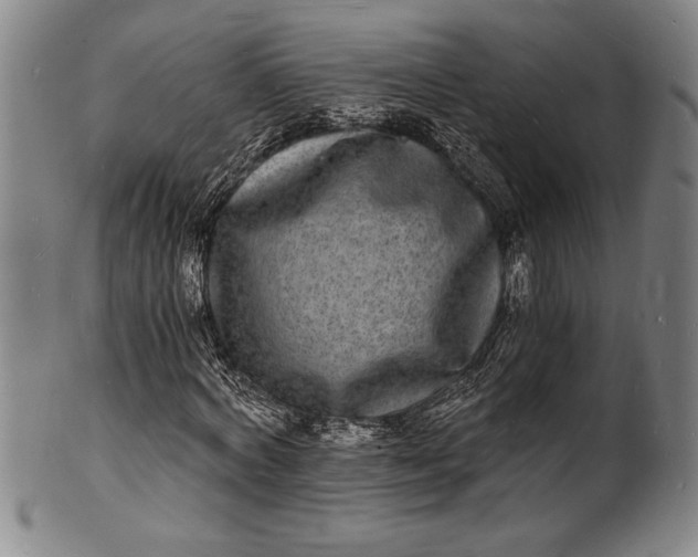 X0000102220772200808081316