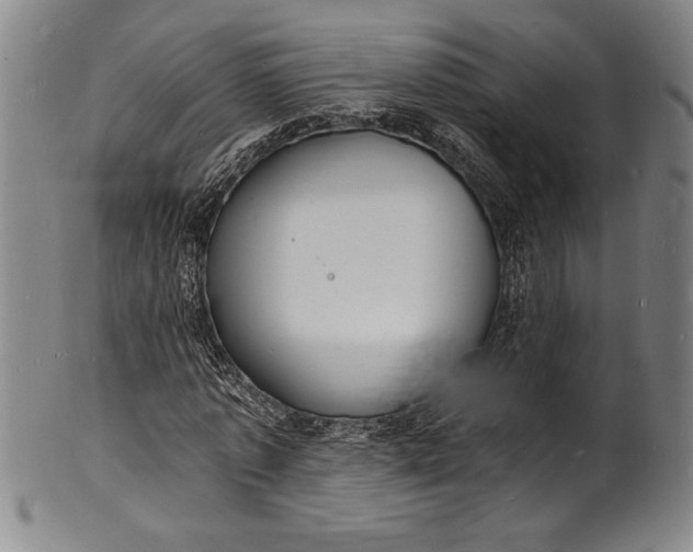 X0000102220773200808081316