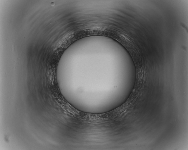 X0000102220774200808081316