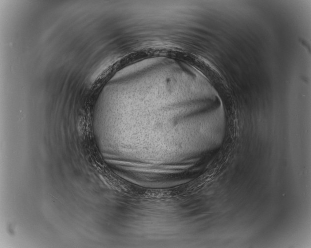 X0000102220775200808081316