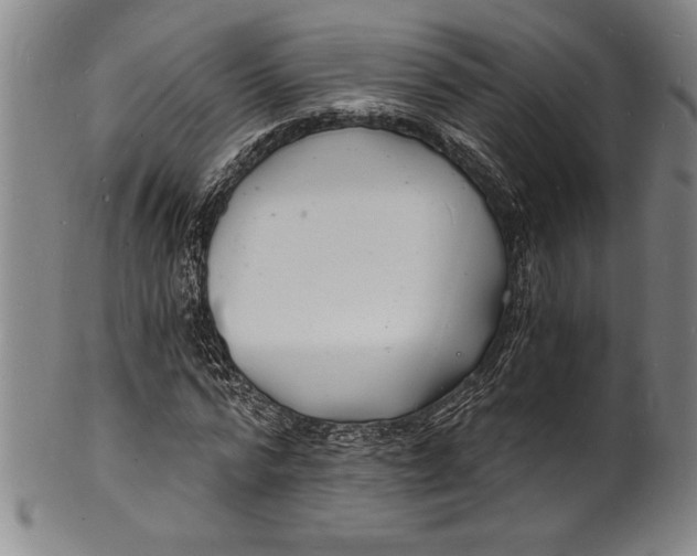 X0000102220776200808081316