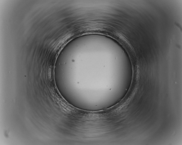 X0000102220777200808081316