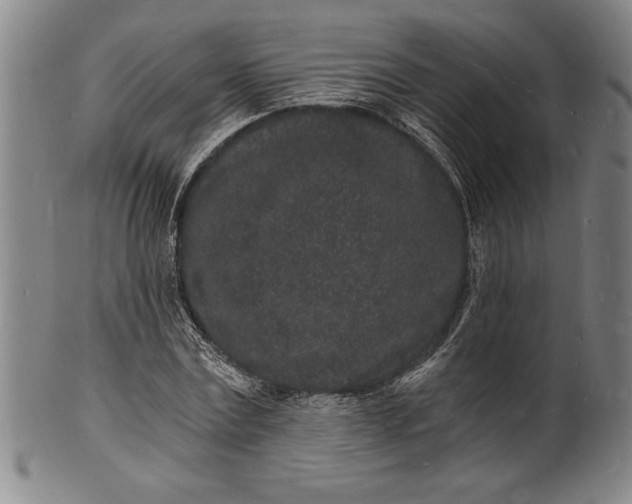 X0000102220779200808081316