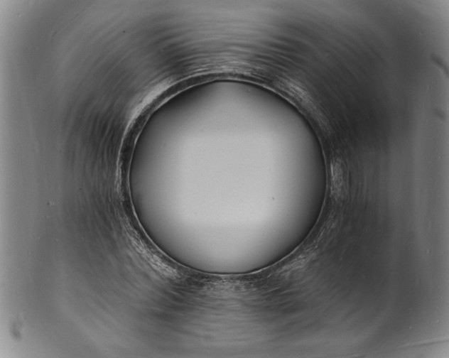 X0000102220780200808081316