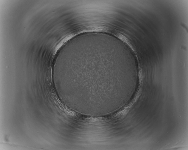 X0000102220781200808081316