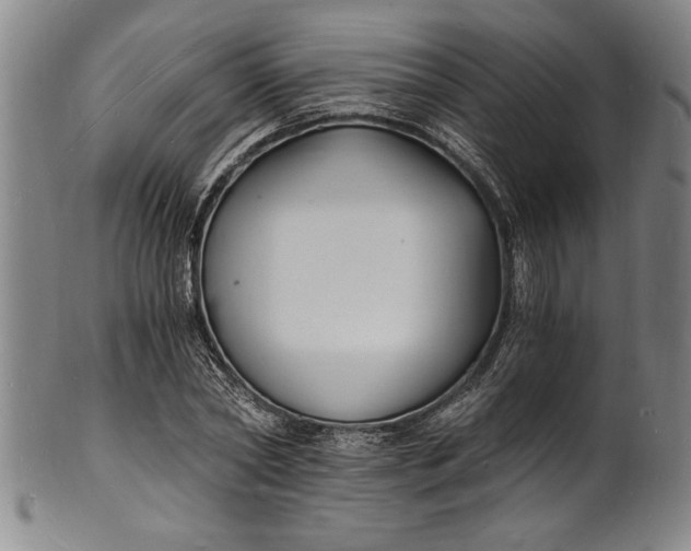 X0000102220782200808081316