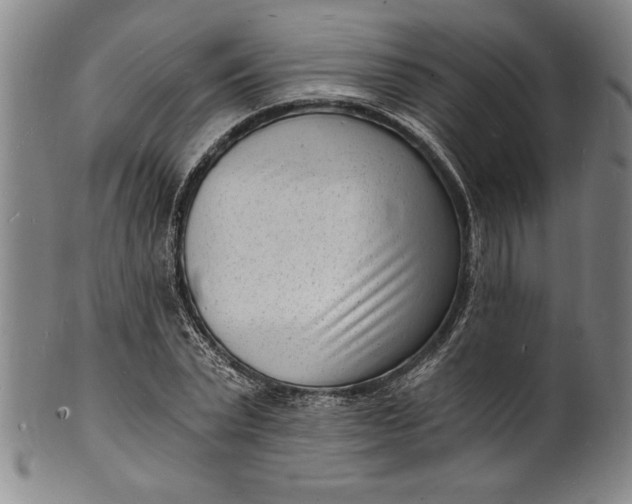 X0000102220783200808081316