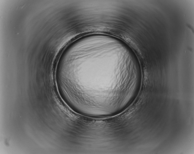 X0000102220784200808081316