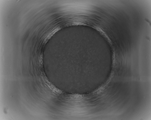 X0000102220785200808081316