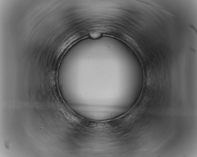 X0000102220786200808081316