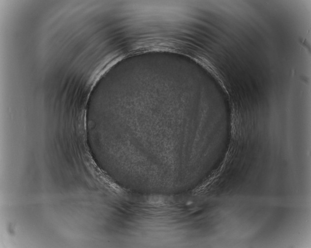 X0000102220790200808081315