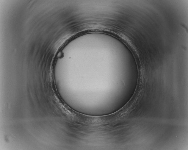 X0000102220791200808081315