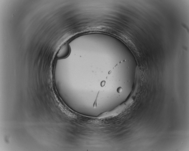 X0000102220792200808081315