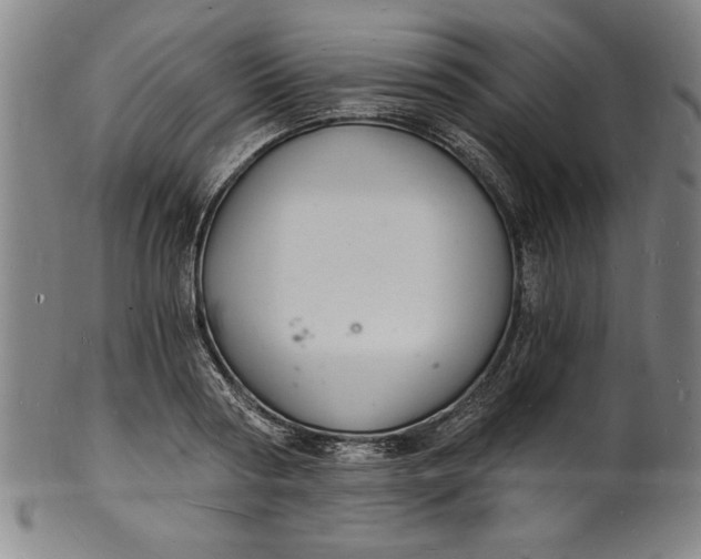 X0000102220794200808081315