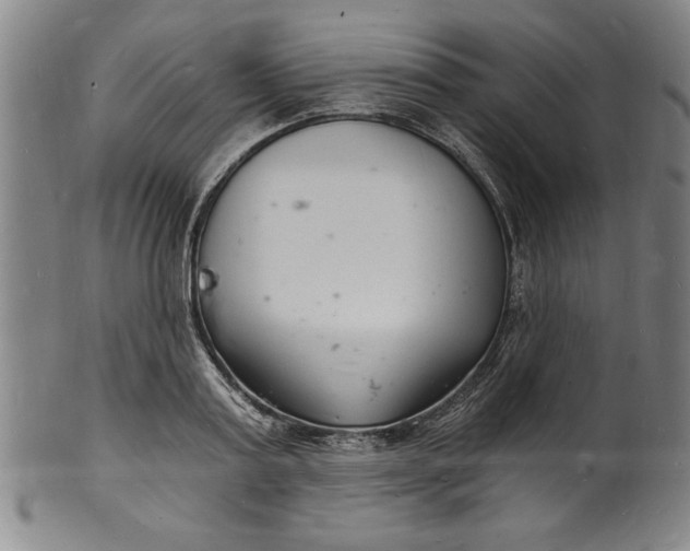 X0000102220795200808081315