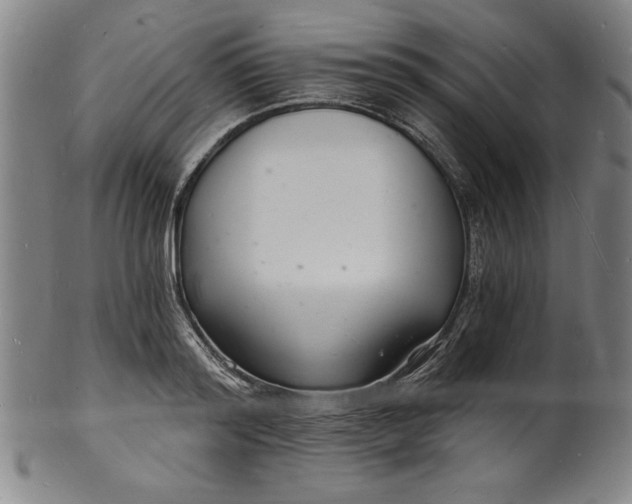 X0000102220796200808081315