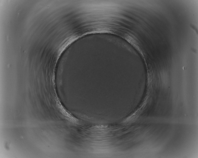 X0000102220797200808081315