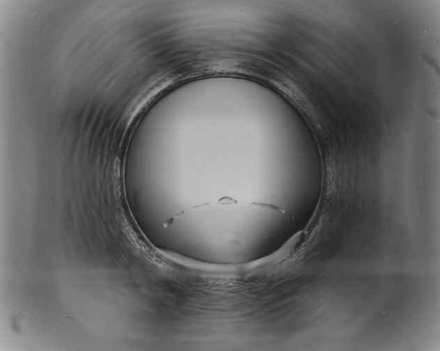 X0000102220798200808081315