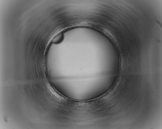 X0000102220800200808081315