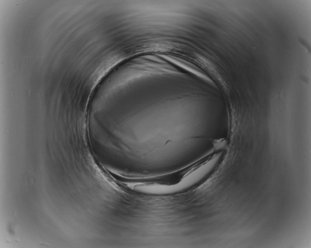 X0000102220802200808081315