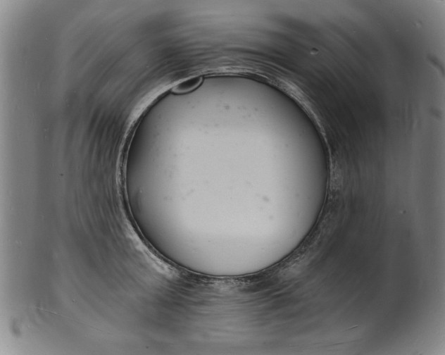 X0000102220803200808081315