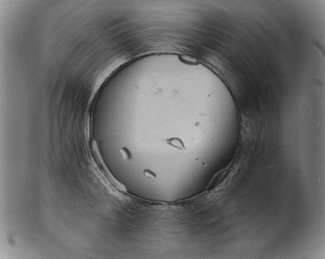 X0000102220804200808081315