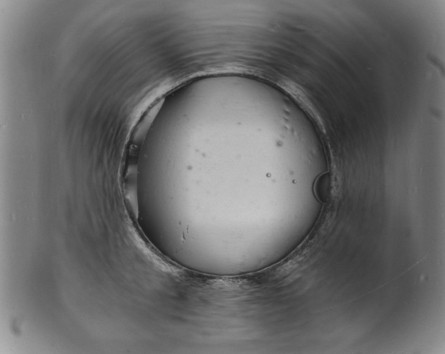 X0000102220805200808081315