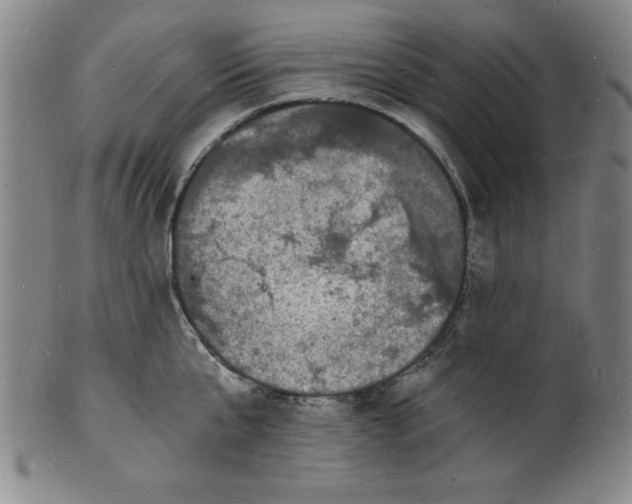 X0000102220807200808081315