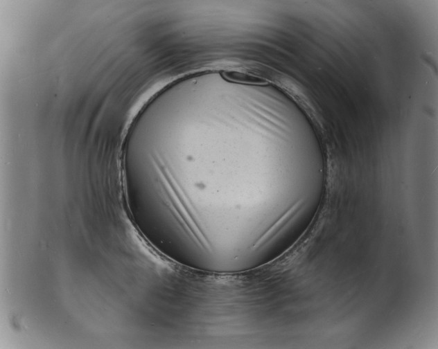 X0000102220808200808081315