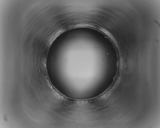 X0000102220809200808081315