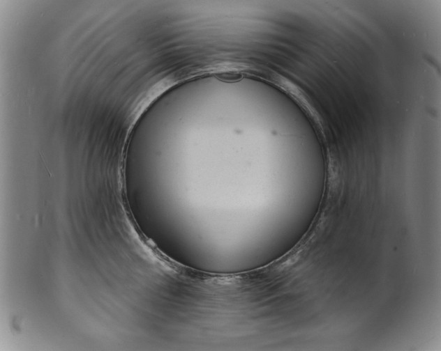 X0000102220810200808081315