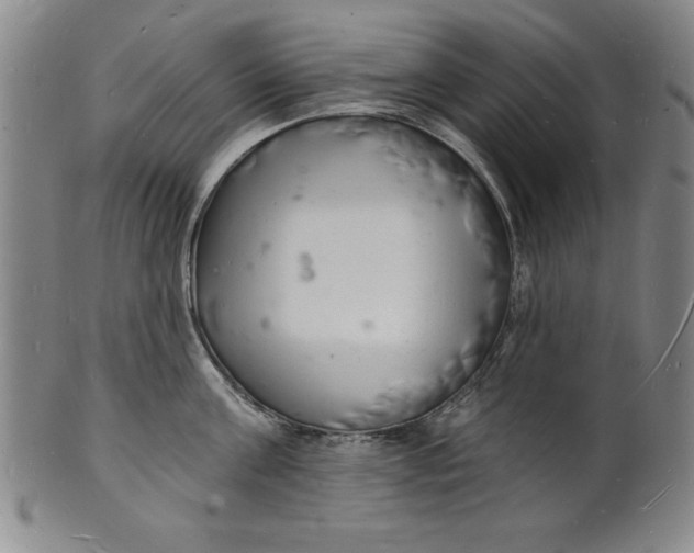 X0000102220811200808081315