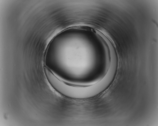 X0000102220813200808081315