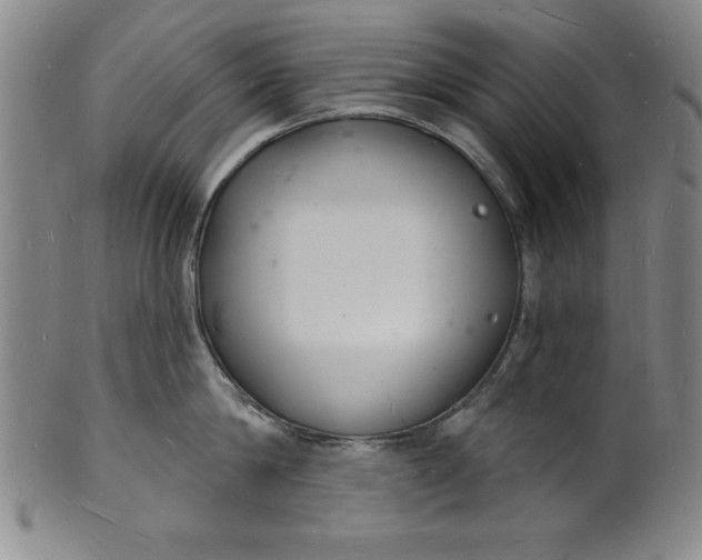 X0000102220814200808081315