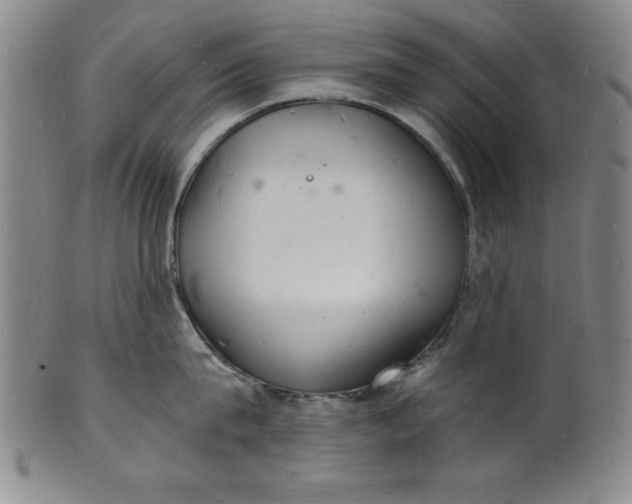 X0000102220815200808081315