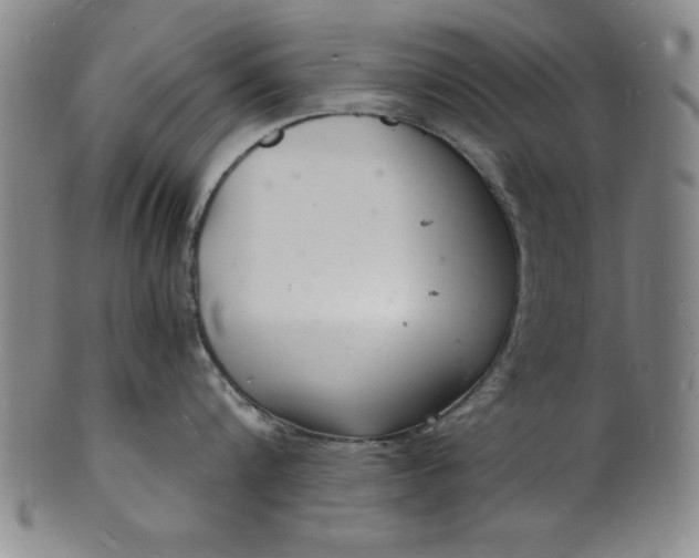 X0000102220816200808081315