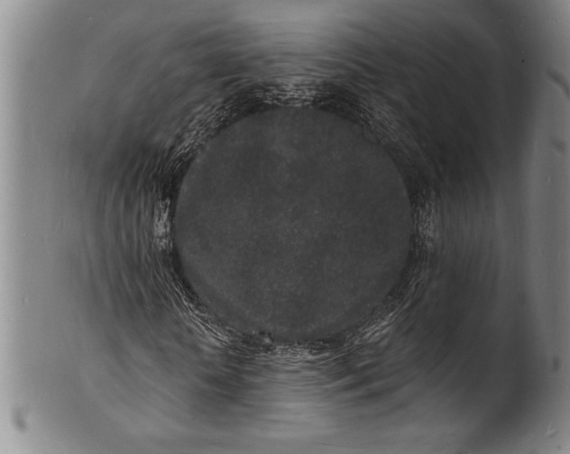 X0000102220818200808081314