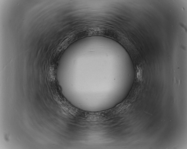 X0000102220819200808081314