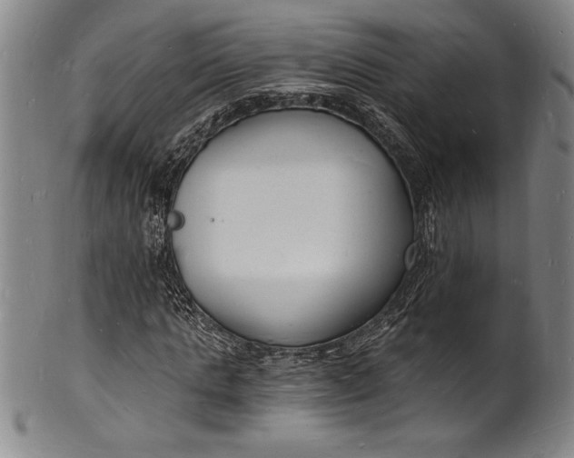 X0000102220821200808081315