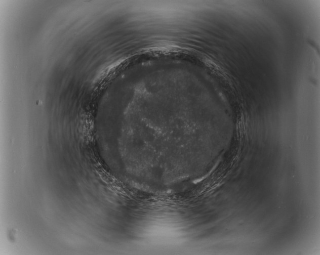 X0000102220822200808081315