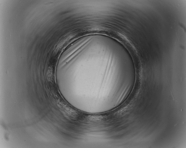 X0000102220825200808081315