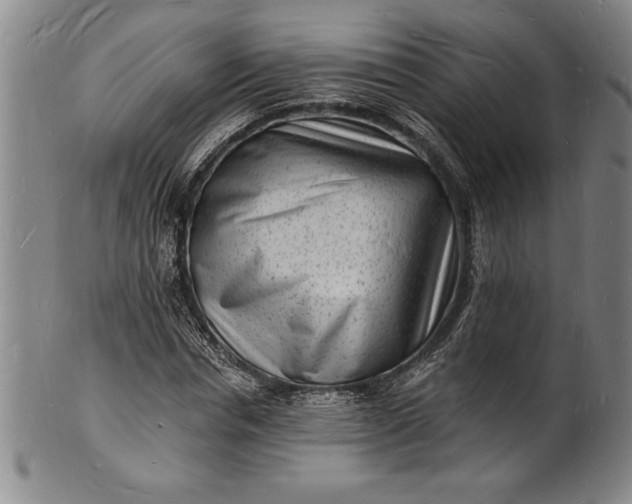 X0000102220826200808081315