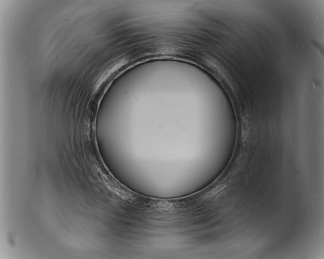 X0000102220827200808081315