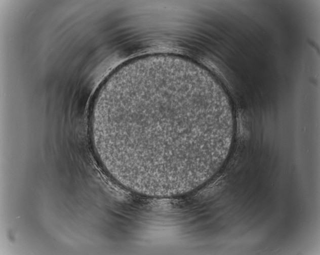 X0000102220828200808081315