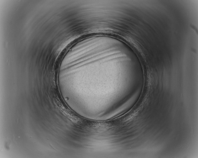 X0000102220830200808081315