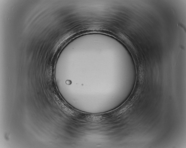 X0000102220831200808081315