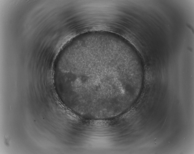 X0000102220832200808081315