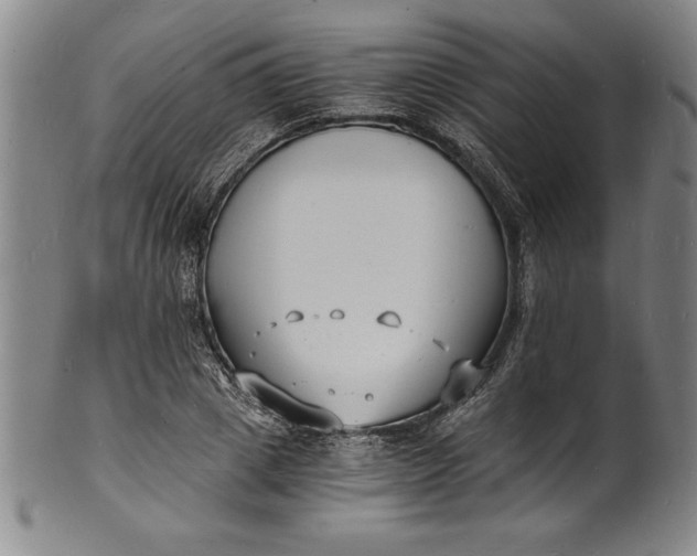 X0000102220833200808081315