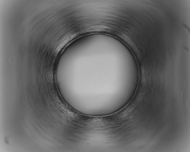 X0000102220834200808081315